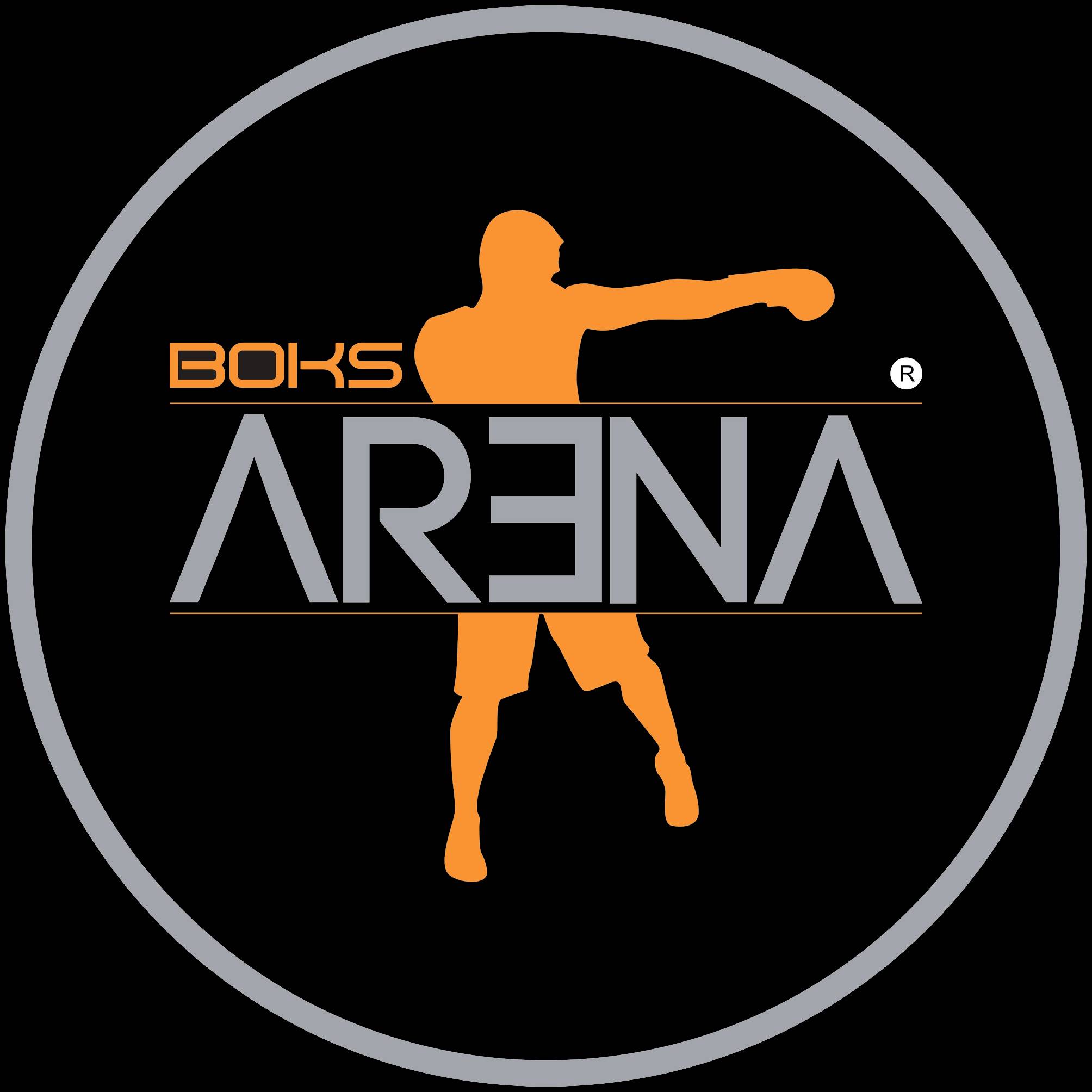 Boks Arena Logo